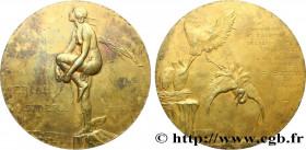 III REPUBLIC
Type : Médaille, FERIAM SIDERA, 20 années de présidence, Commission d’aviation de l’aéro-club de France 
Date : 1928 
Metal : gold plated...
