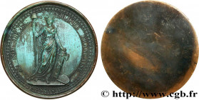 V REPUBLIC
Type : Médaille, Au nom de la République Française 
Date : 1973 
Mint name / Town : Monnaie de Paris 
Quantity minted : 500 
Metal : bronze...
