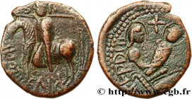ITALY - COUNTY OF CALABRIA AND SICILY - ROGER I
Type : Trifollaro 
Date : n.d. 
Mint name / Town : Mileto 
Metal : copper 
Diameter : 25  mm
Orientati...
