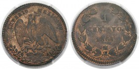 Mexique
 Maximilien (1864-1867)
 1 centavo - 1864 Mo Mexico. 
 Pratiquement FDC - PCGS MS 63 RB
 300 / 400