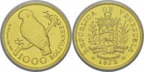 Venezuela
 République (1823 à nos jours) 1000 bolivares or - 1975 Londres - Type aux ailes lisses.
 Superbe à FDC - PCGS MS 62
 1.200 / 1.400