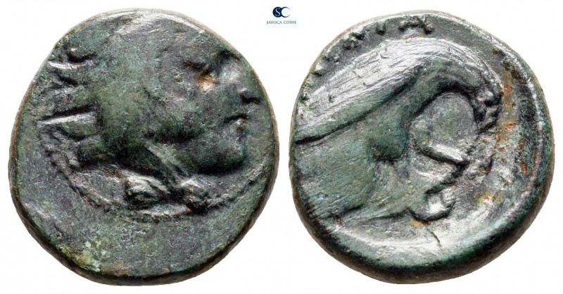 Kings of Macedon. Aigai or Pella. Amyntas III 393-369 BC. 
Bronze Æ

16 mm, 3...
