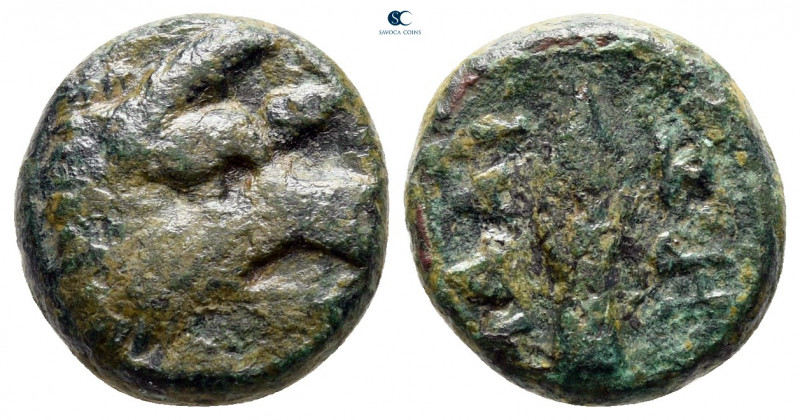 Kings of Thrace. Seleukid. Adaios 253-243 BC. 
Bronze Æ

13 mm, 3,32 g


...