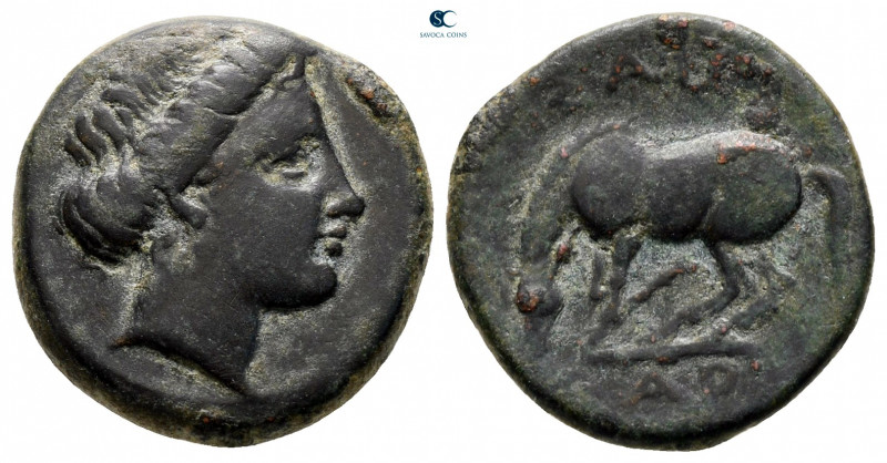 Thessaly. Larissa circa 350-300 BC. 
Bronze Æ

17 mm, 3,62 g



very fine...