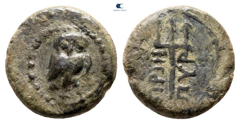 Ionia. Priene circa 270-240 BC. 
Bronze Æ

10 mm, 1,02 g



nearly very f...
