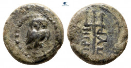 Ionia. Priene circa 270-240 BC. Bronze Æ