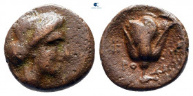 Islands off Caria. Rhodos circa 350-300 BC. Bronze Æ