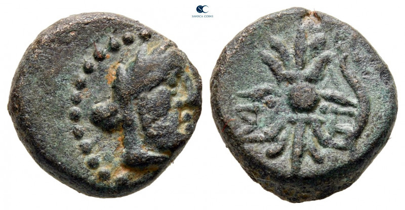 Pisidia. Selge circa 200-0 BC. 
Bronze Æ

13 mm, 2,79 g



very fine