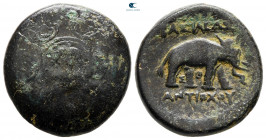 Seleukid Kingdom. Antioch on the Orontes. Antiochos I Soter 281-261 BC. Bronze Æ