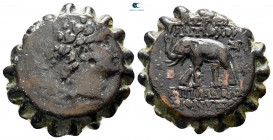 Seleukid Kingdom. Antioch on the Orontes. Antiochos VI Dionysos 144-142 BC. Serrate Æ