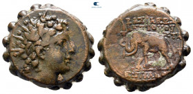 Seleukid Kingdom. Antioch on the Orontes. Antiochos VI Dionysos 144-142 BC. Serrate Æ