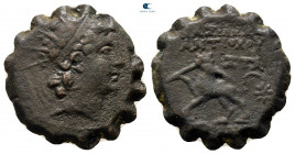 Seleukid Kingdom. Antioch on the Orontes. Antiochos VI Dionysos 144-142 BC. Serrate Æ