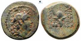 Seleukid Kingdom. Antioch on the Orontes. Tryphon 142-138 BC. From the Tareq Hani collection. Bronze Æ