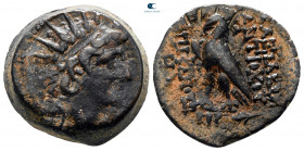 Seleukid Kingdom. Antioch on the Orontes. Antiochos VIII Epiphanes Grypos 121-97 BC. From the Tareq Hani collection. Bronze Æ