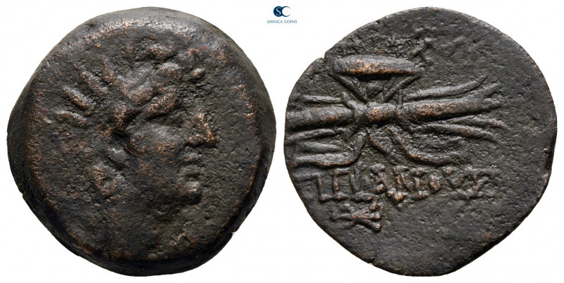 Seleukid Kingdom. Possibly Seleukeia in Pieria. Antiochos VIII Epiphanes Grypos ...