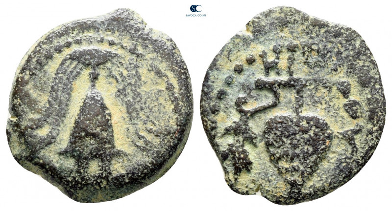 Judaea. Jerusalem. Herodians. Herod II Archelaos 4 BC-AD 6. From the Tareq Hani ...