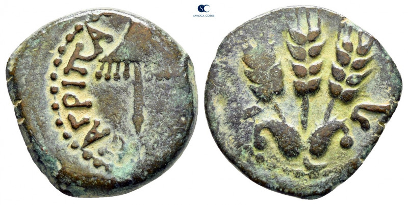 Judaea. Jerusalem. Agrippa I AD 37-43. From the Tareq Hani collection
Prutah Æ...