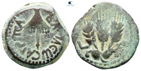 Judaea. Jerusalem. Agrippa I AD 37-43. From the Tareq Hani collection. Prutah Æ