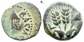 Judaea. Jerusalem. Agrippa I AD 37-43. From the Tareq Hani collection. Prutah Æ