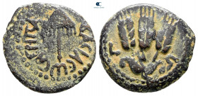 Judaea. Jerusalem. Agrippa I AD 37-43. From the Tareq Hani collection. Prutah Æ