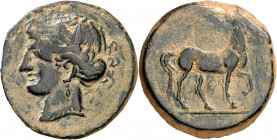 (221-210 a.C.). Zeugitana. Cartago. AE 22. (S. 6518 var) (SNG. Copenhagen 305). Pátina verde. 9,28 g. MBC+.