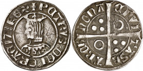 Pere III (1336-1387). Barcelona. Croat. (Cru.V.S. 402.1) (Cru.C.G. 2220d). Flores de 6 pétalos en el vestido. Letras A y U latinas. 2,80 g. MBC.