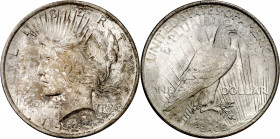 Estados Unidos. 1923. Filadelfia. 1 dólar. (Kr. 150). Pátina. AG. 26,69 g. EBC+.