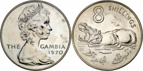 Gambia. 1970. Isabel II. 8 chelines. (Kr. 7). En estuche oficial. Acuñación de 4500 ejemplares. Sombras. AG. 32,83 g. S/C-.