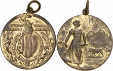 1909. Tarragona. Federació agrícola catalana-balear, XII Congrés Agrícola. (Cru.Medalles 1063). Con anilla. Cobre dorado. 12,14 g. Ø31 mm. EBC.