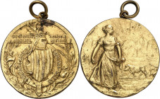 1913. Igualada. Federació Agrícola Catalana-Balear. (Cru.Medalles 1115). Con anilla. Grabadores: Rodríguez y A. P. (Pareda). Dorada. 11,88 g. Ø31 mm. ...