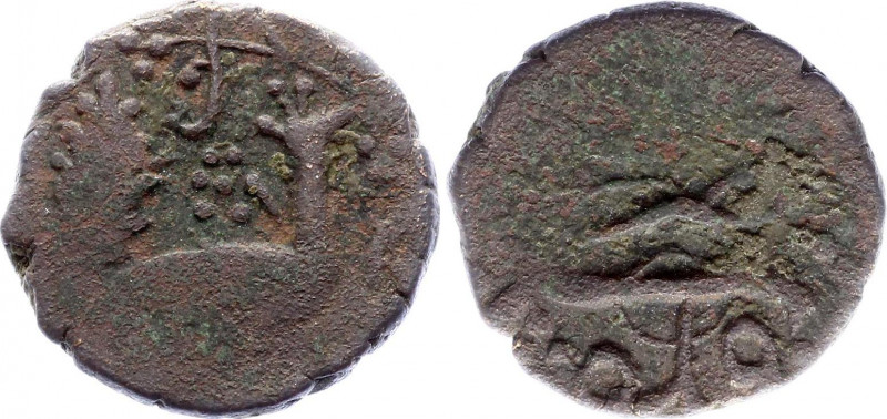 Georgia Kartli Æ Puli Peacock 1717 - 1719 AH 1129 - 1131 Bakar
Copper 4,15g.; P...