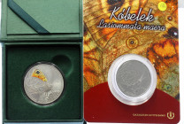Kazakhstan 100 & 200 Tenge 2019
Proof & UNC; Lasiommata Maera Butterfly; with original bank packages