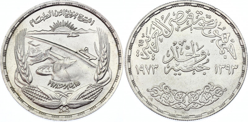 Egypt 1 Pound 1973 AH 1393
KM# 439; Silver. FAO. UNC.