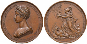 FRANCIA. Maria Carolina di Borbone (1798-1870). Medaglia 1820. BR (Ø g 68,61). Opus: Laffite. D. Montagny. Colpi al bordo.
qSPL