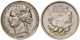 FASCISMO. Medaglia Ministero dell'Agricoltura e delle Foreste - Mostra Avicola. Opus Morbiducci. S.I.A.M. - Roma. AG (Ø 41 mm - g 26,65). Rara.
SPL