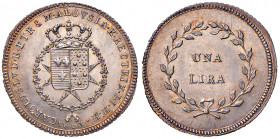 FIRENZE. Carlo Ludovico di Borbone (1803-1807). 1 lira 1803. AG. Gig.13. Conservazione eccezionale con gradevole patina su fondi brillanti.
FDC