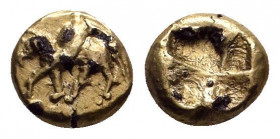 Ionia.Uncertain mint. (Ca. 600-550 BC). Fourree EL hekte - sixth stater.

Obv: Horse (or unicorn?) advancing or lying left. 

Rev: Quadripartite incus...