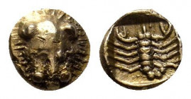 CARIA.Mylasa.(Mid 6th Century BC). EL 1/48 stater.

Obv : Lion's head facing.

Rev : Scorpion within incuse square.
Weidauer 166-7; SNG Keckman 918; S...