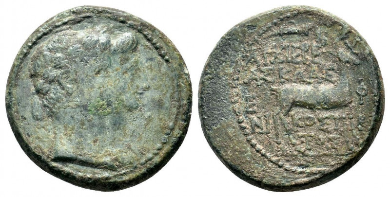 IONIA, Ephesus. Livia (Augusta), Augustus (27 BC-14 AD ). Ae.

Obv: Jugate busts...