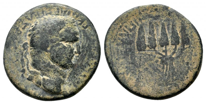 PHRYGIA. Apameia. Vespasian. 69-79 AD. AE Bronze. AYTOKPATΩP KAIΣAP ΣEBAΣTOΣ OYE...