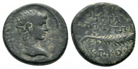 PHRYGIA. Hierapolis. Augustus (27 BC-14 AD). Ae. Kokos Pollidos Phil(opatris?), magistrate.

Obv: ΓΑΙΟΣ.
Bare head of Gaius Caesar right.
Rev: IER...