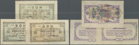 Russia: North Caucasus Provisional Central Administration of the Branch of the National Bank, set with 3 Banknotes 25, 50 and 100 Rubles 1918, P.S451-...