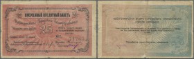 Russia: South Russia, Tsaritsyn City Municipality, 25 Rubles 1918, P.NL (Kardakov 6.23.8), in used / well worn condition with stained paper, several t...