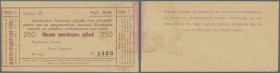 Russia: North Caucasus, Maykop City Government, 250 Rubles 1920, P.NL (Kardakov 7.32.28), tear at lower margin, stained paper at right border and soft...
