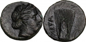 Greek Italy. Southern Lucania, Metapontum. AE 14.5 mm. c. 300-250 BC . Obv. Head of Demeter right, wearing barley-wreath. Rev. META. Barley-ear with l...
