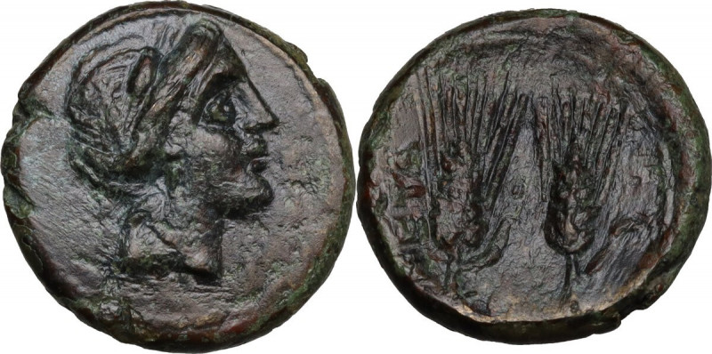 Greek Italy. Southern Lucania, Metapontum. AE 17.5 mm. c. 225-200 BC. Obv. Head ...