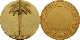 Medaglia premio A. VI 1928, Ente Autonomo Fiera Campionaria di Tripoli. 44.00 mm. Opus: S. Johnson. SPL+.