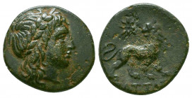 IONIA. Miletos. Circa 170-150 BC. AE. Hippolochos, magistrate. Laureate head of Apollo to right. Rev. IΠΠΟΛΟXOΣ Lion standing right, head turned back ...