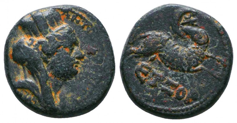 Syria, Seleucis and Pieria, Antioch Æ18. Pseudo-autonomous issue, time of Nero. ...