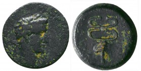 Roman Provincial Coin,
Reference:
Condition: Very Fine

Weight: 3.4 gr
Diameter: 16 mm